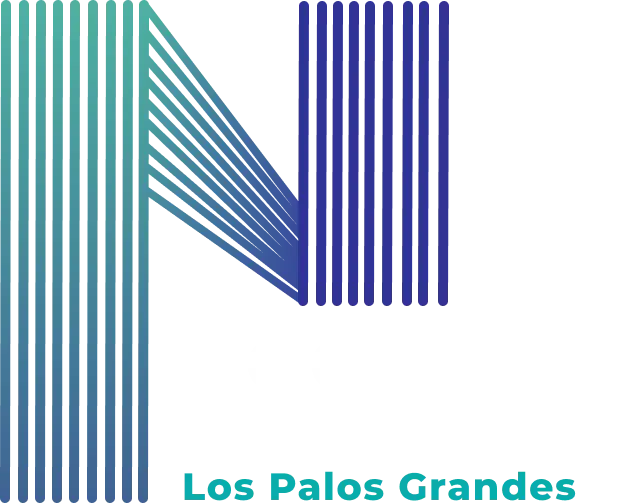 nocturneando logo